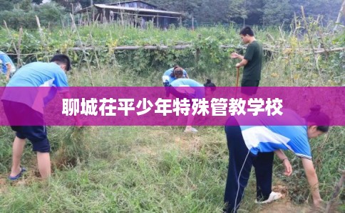 聊城茌平少年特殊管教学校