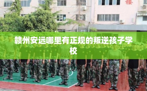 赣州安远哪里有正规的叛逆孩子学校