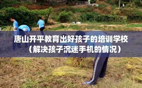唐山开平教育出好孩子的培训学校（解决孩子沉迷手机的情况）