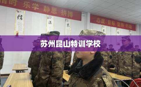 苏州昆山特训学校