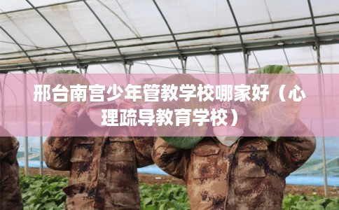 邢台南宫少年管教学校哪家好（心理疏导教育学校）