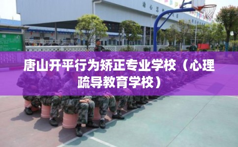 唐山开平行为矫正专业学校（心理疏导教育学校）