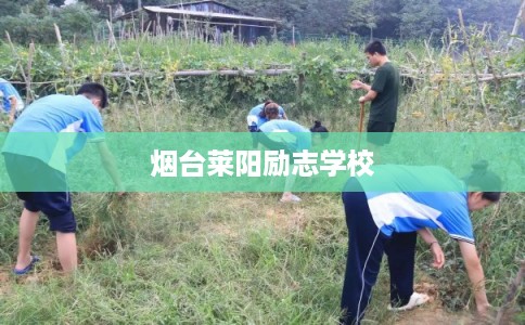 烟台莱阳励志学校