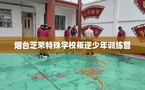 烟台芝罘特殊学校叛逆少年训练营