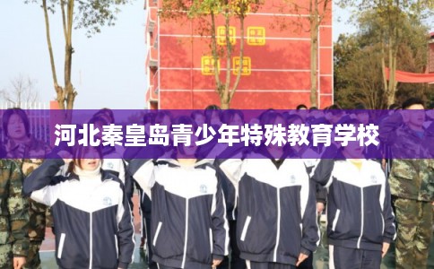 河北秦皇岛青少年特殊教育学校