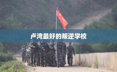 卢湾最好的叛逆学校