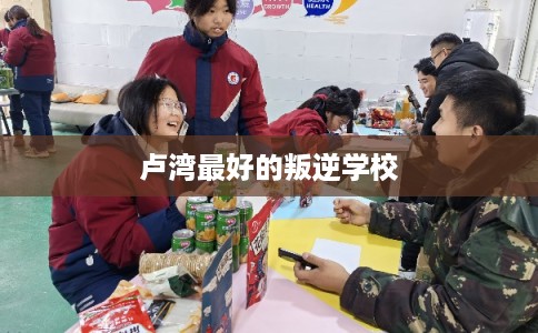 卢湾最好的叛逆学校