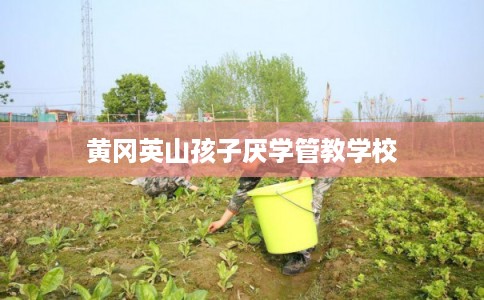 黄冈英山孩子厌学管教学校