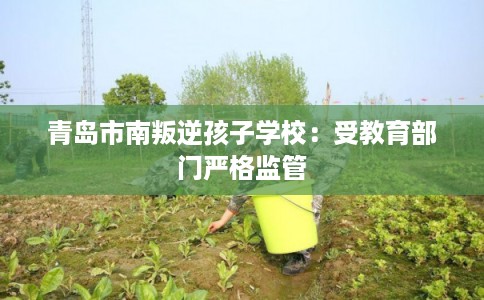 青岛市南叛逆孩子学校：受教育部门严格监管