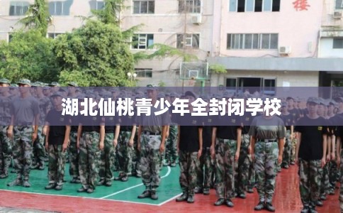 湖北仙桃青少年全封闭学校