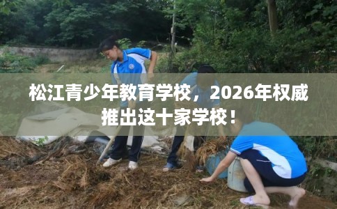 松江青少年教育学校，2026年权威推出这十家学校！