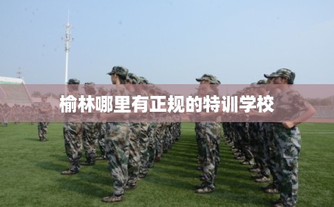 榆林哪里有正规的特训学校