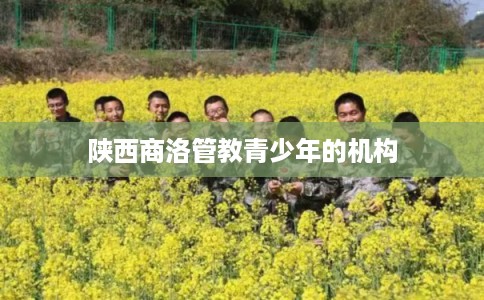 陕西商洛管教青少年的机构