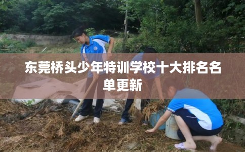 东莞桥头少年特训学校十大排名名单更新