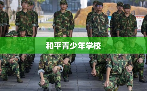 和平青少年学校