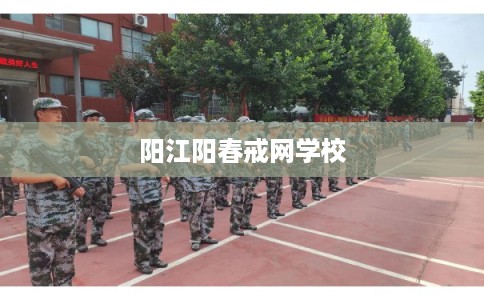 阳江阳春戒网学校