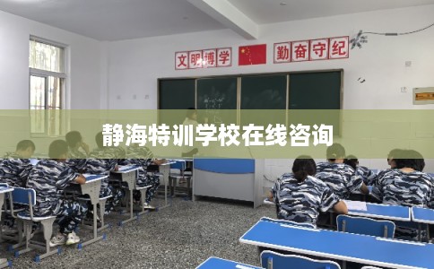 静海特训学校在线咨询