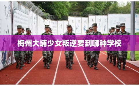 梅州大埔少女叛逆要到哪种学校