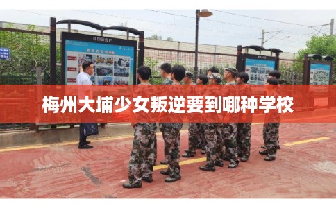 梅州大埔少女叛逆要到哪种学校