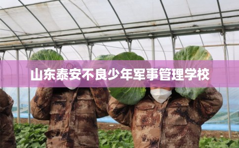 山东泰安不良少年军事管理学校