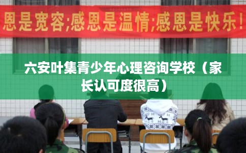 六安叶集青少年心理咨询学校（家长认可度很高）