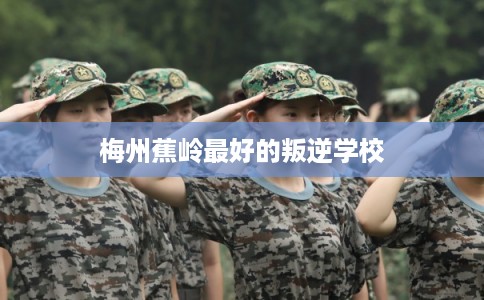 梅州蕉岭最好的叛逆学校 梅州蕉岭最好的叛逆学校