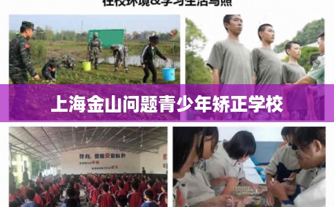 上海金山问题青少年矫正学校