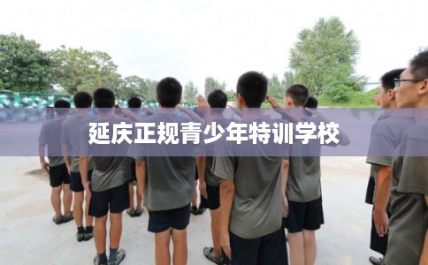 延庆正规青少年特训学校