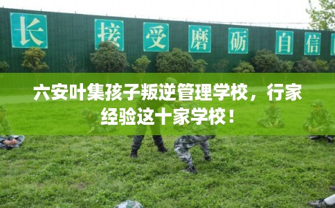 六安叶集孩子叛逆管理学校，行家经验这十家学校！