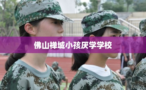 佛山禅城小孩厌学学校