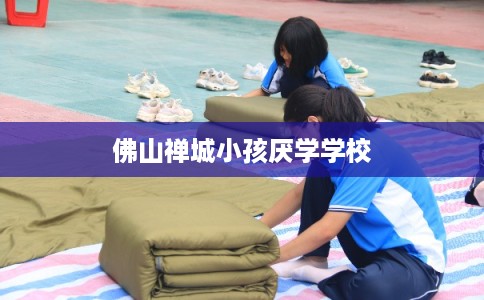 佛山禅城小孩厌学学校