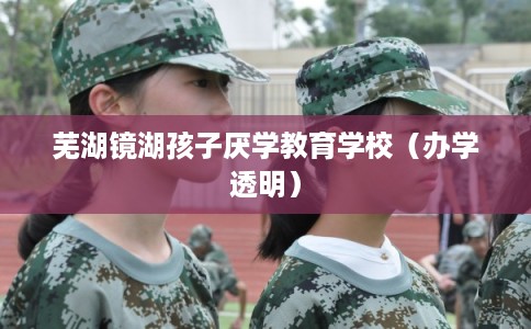 芜湖镜湖孩子厌学教育学校（办学透明）