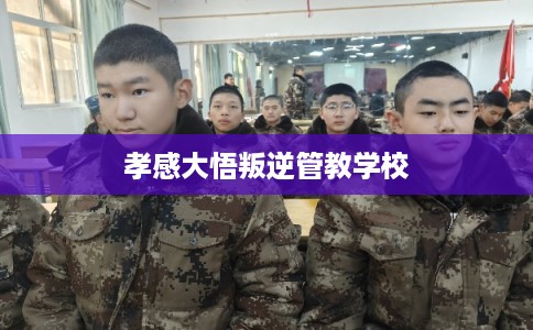 孝感大悟叛逆管教学校