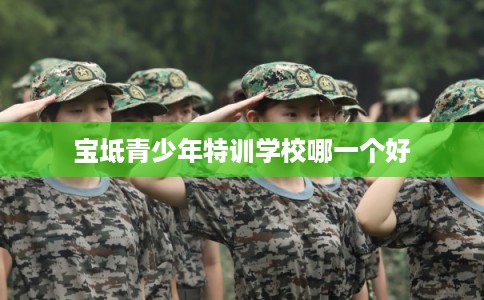 宝坻青少年特训学校哪一个好