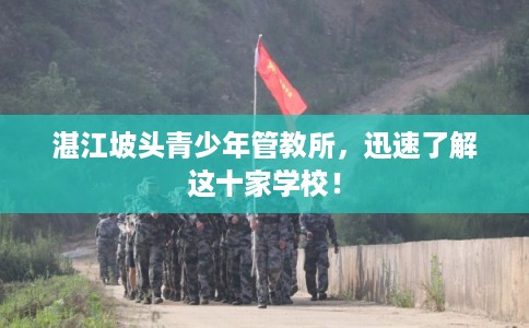 湛江坡头青少年管教所，迅速了解这十家学校！