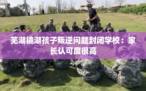 芜湖镜湖孩子叛逆问题封闭学校：家长认可度很高