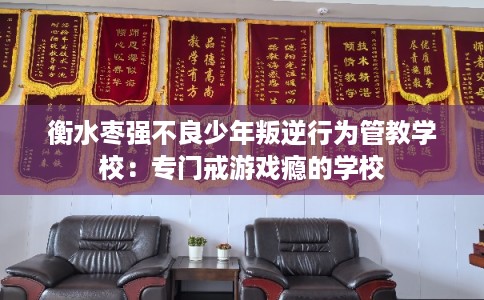 衡水枣强不良少年叛逆行为管教学校：专门戒游戏瘾的学校