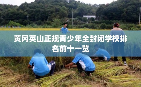黄冈英山正规青少年全封闭学校排名前十一览