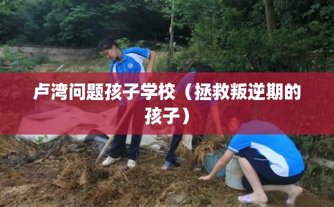 卢湾问题孩子学校(拯救叛逆期的孩子) 卢湾问题孩子学校(拯救叛逆期的孩子)