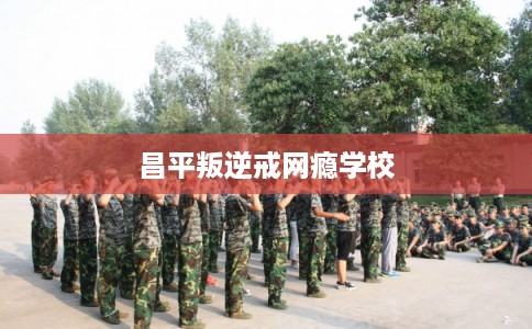 昌平叛逆戒网瘾学校 昌平叛逆戒网瘾学校