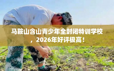 马鞍山含山青少年全封闭特训学校，2026年好评极高！