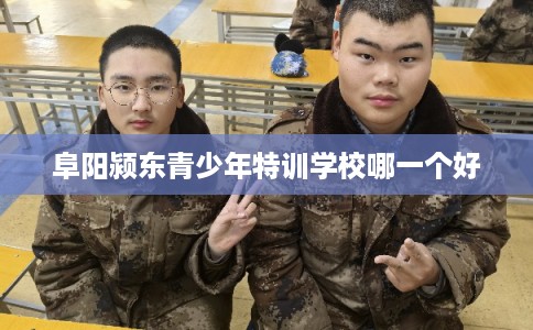 阜阳颍东青少年特训学校哪一个好