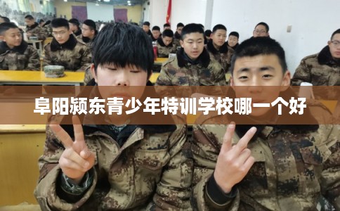 阜阳颍东青少年特训学校哪一个好