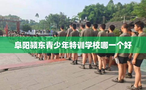 阜阳颍东青少年特训学校哪一个好