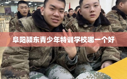 阜阳颍东青少年特训学校哪一个好