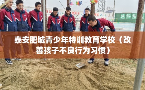 泰安肥城青少年特训教育学校（改善孩子不良行为习惯）