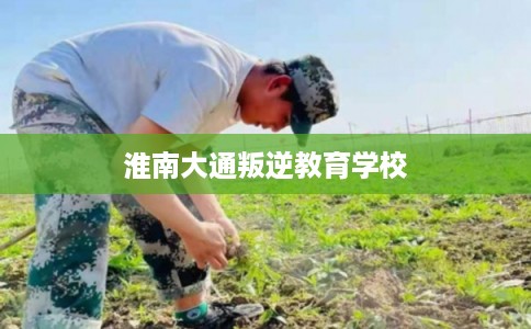 淮南大通叛逆教育学校