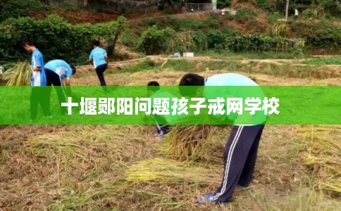 十堰郧阳问题孩子戒网学校 十堰郧阳问题孩子戒网学校