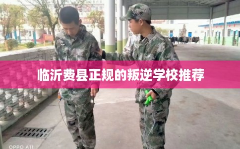 临沂费县正规的叛逆学校推荐