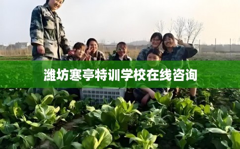 潍坊寒亭特训学校在线咨询
